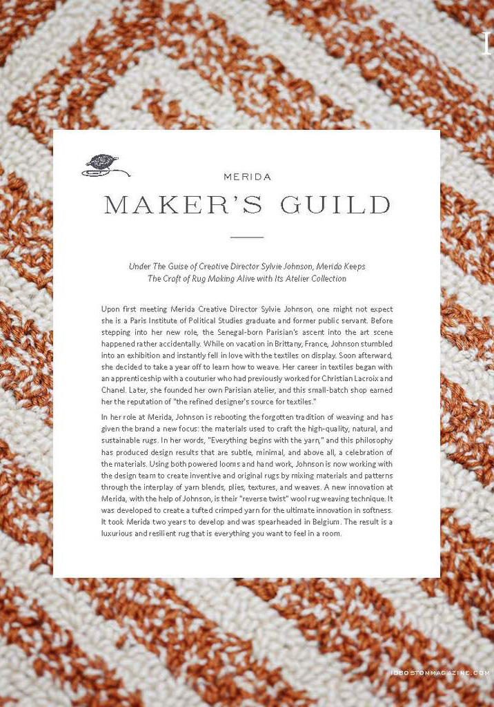 Merida_in_ID_Boston_Fall_cover