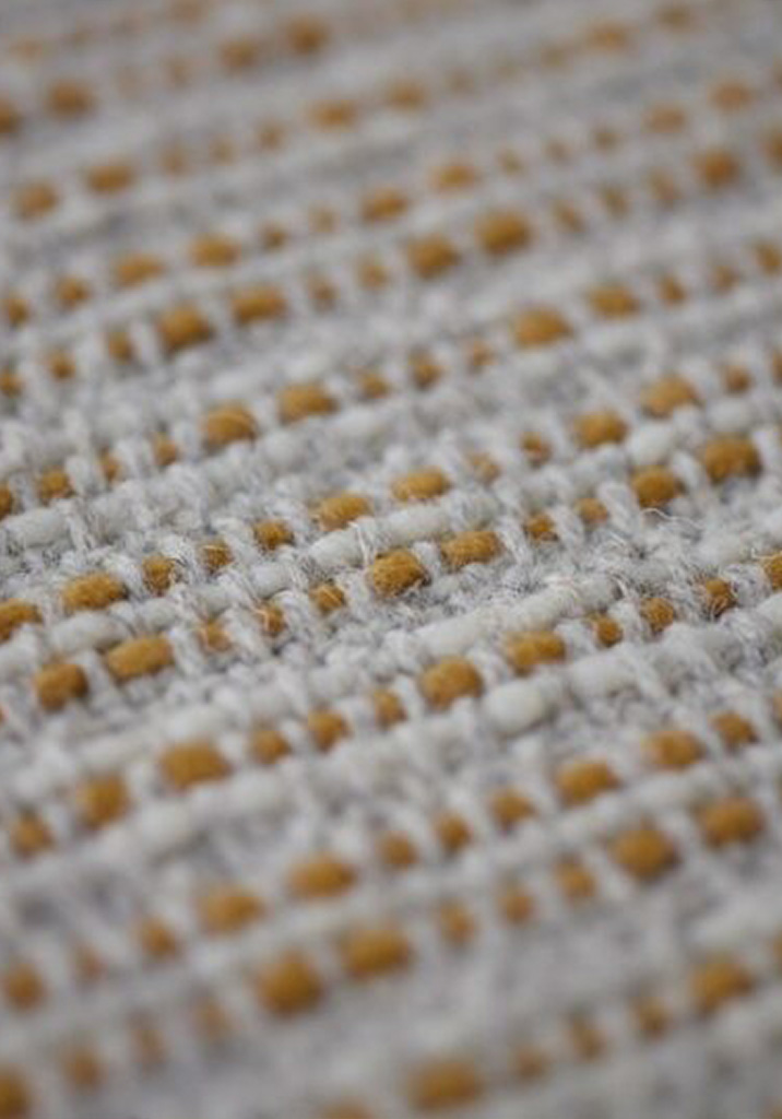 Merida_on_AD_Pro_8.2.19_cover