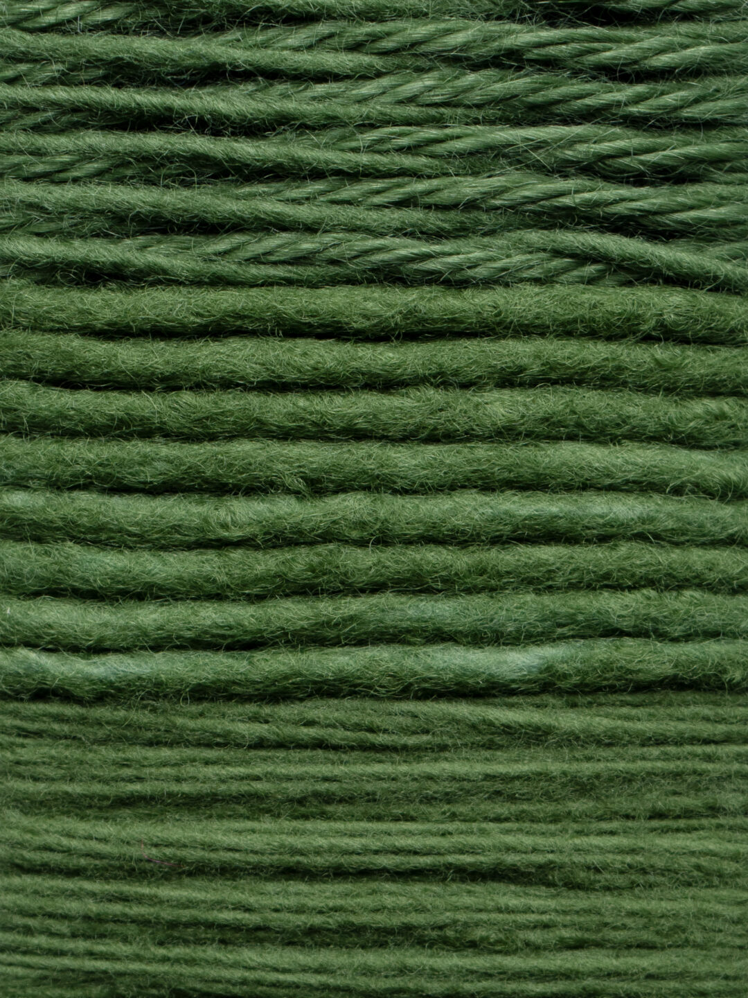 Yarn Card Thumbnail – 2023 – Fern