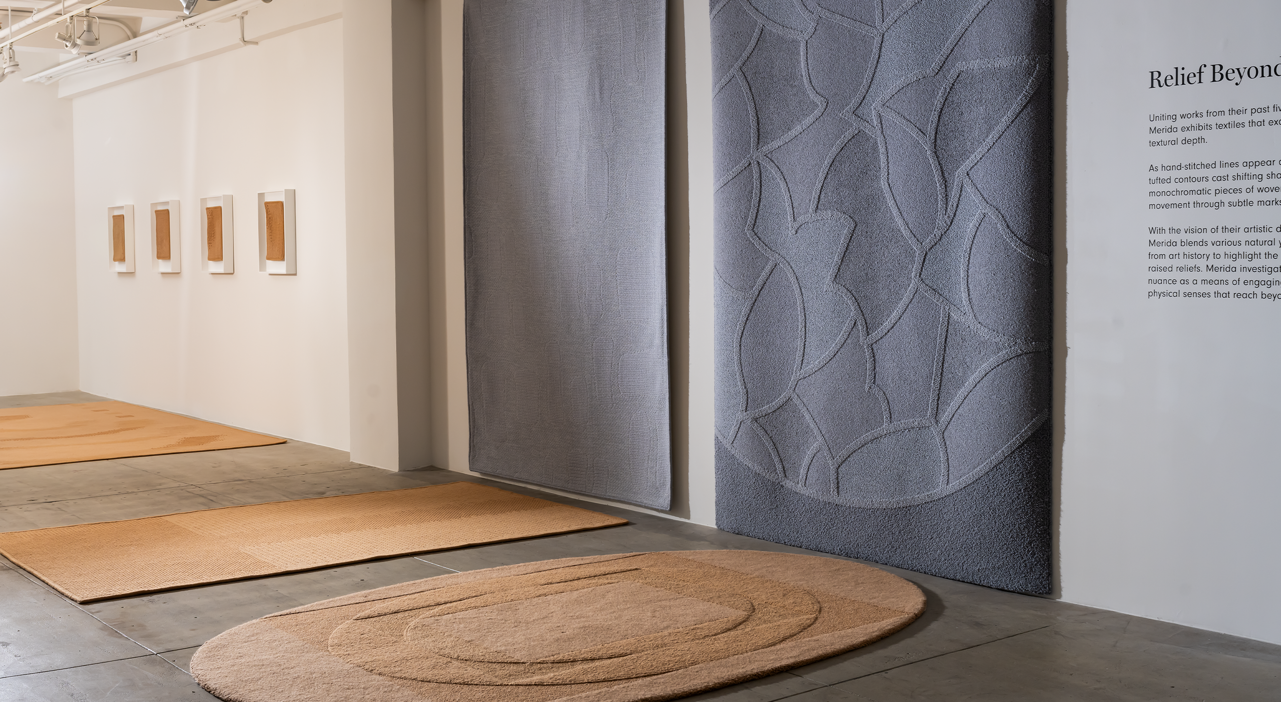 Relief Beyond Ground – Part 1 – Image 4