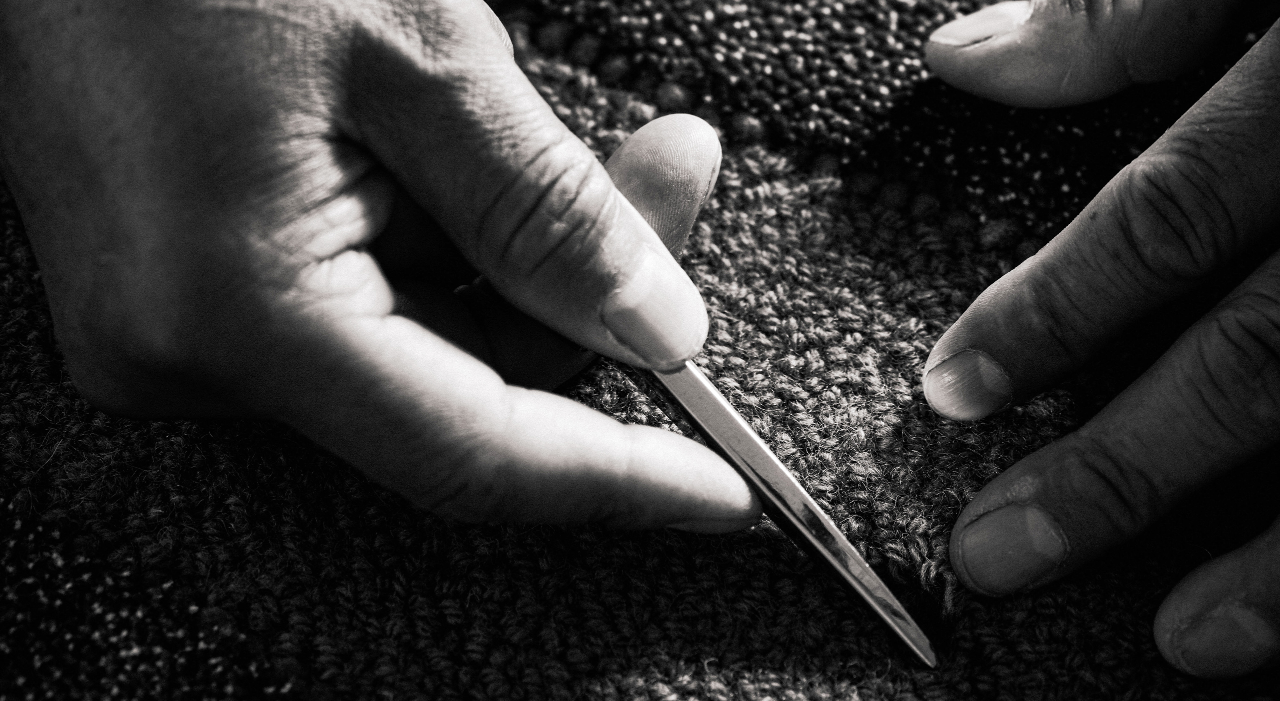 Manifesto Page – Image 1B