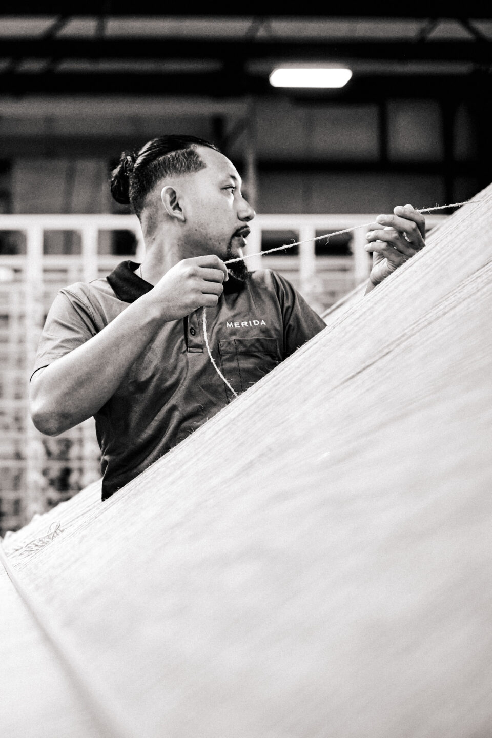 Manifesto Page – Image 4B