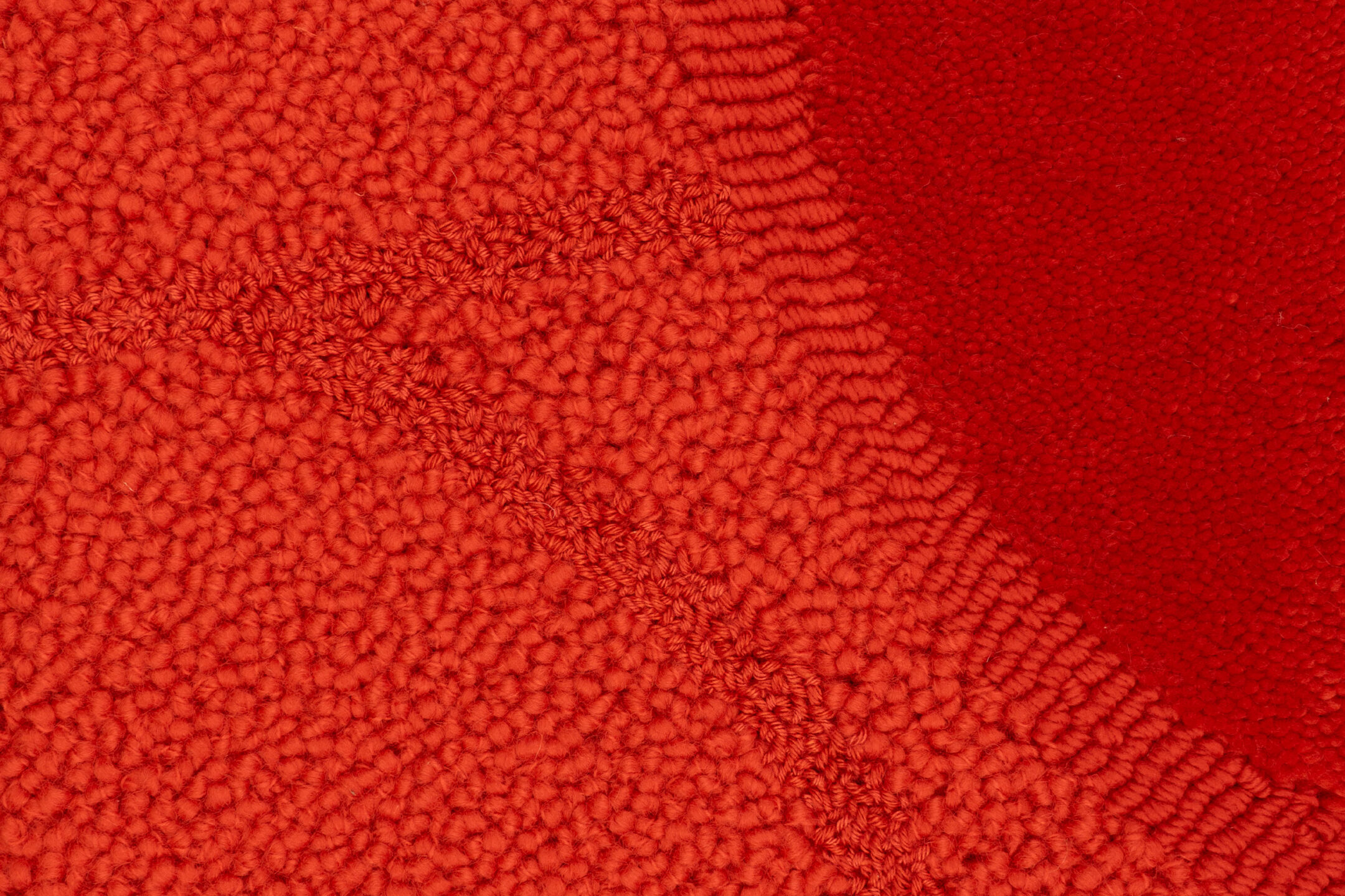Reef detail