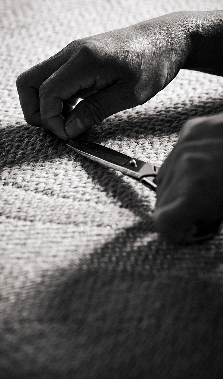 Conservation and Care Image