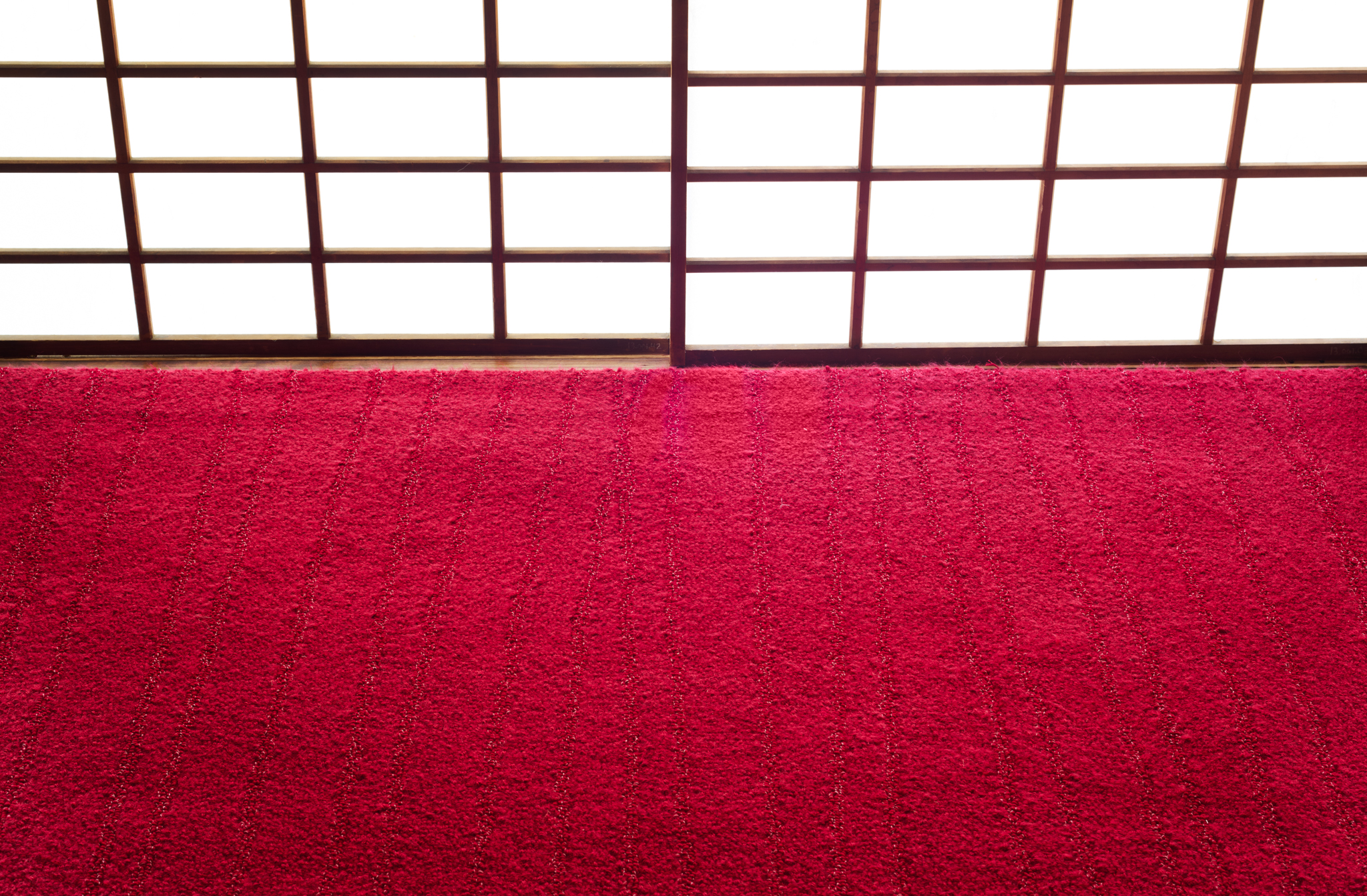 Echo – Aka – Detail 2