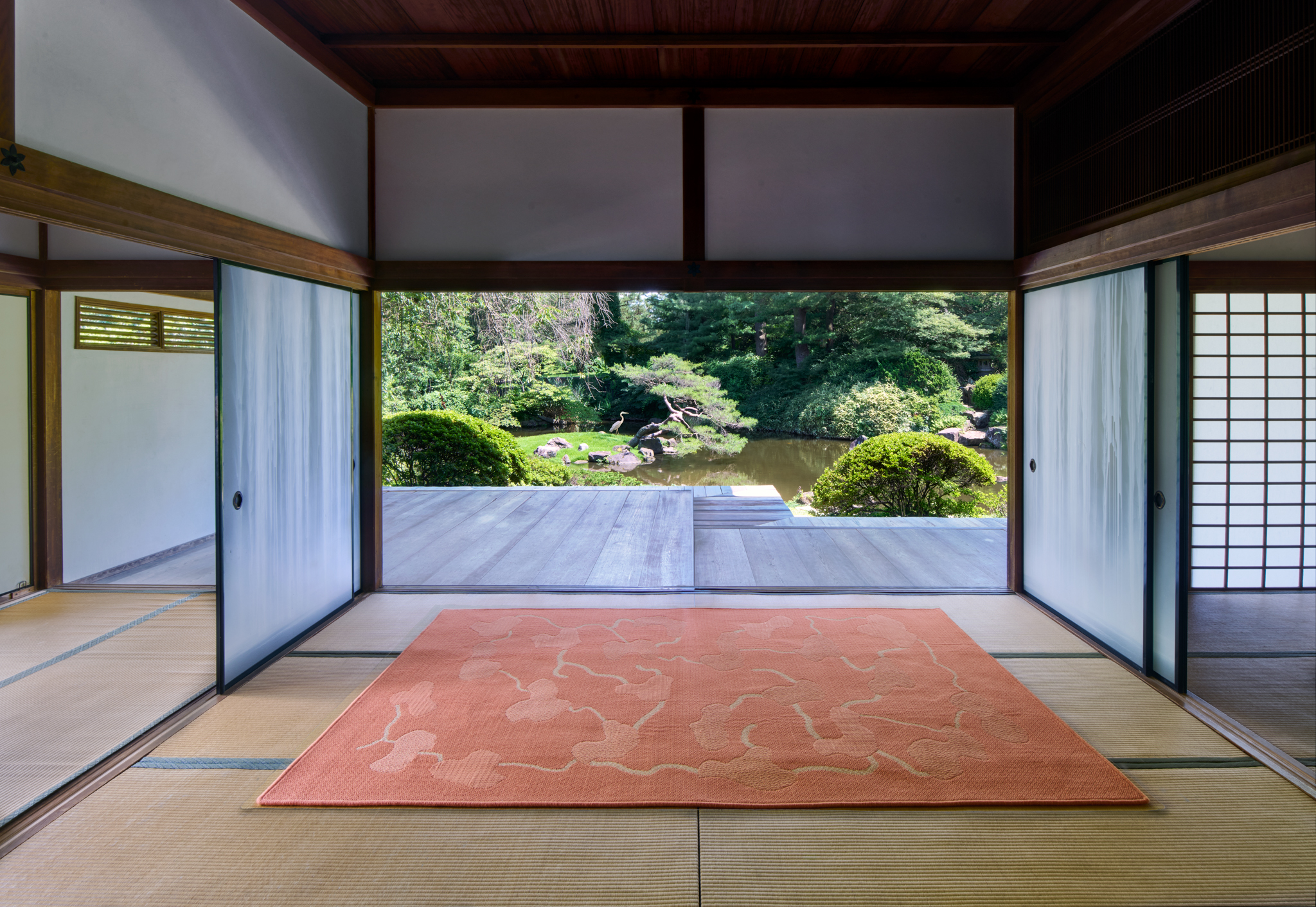 Haven – Coral – Installation 2B