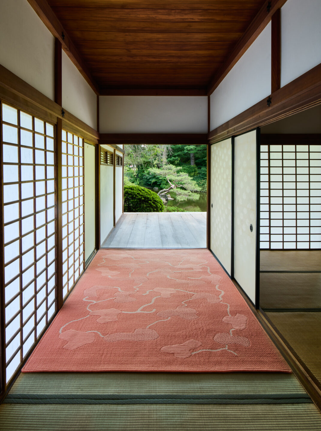 Haven – Coral – Installation 3