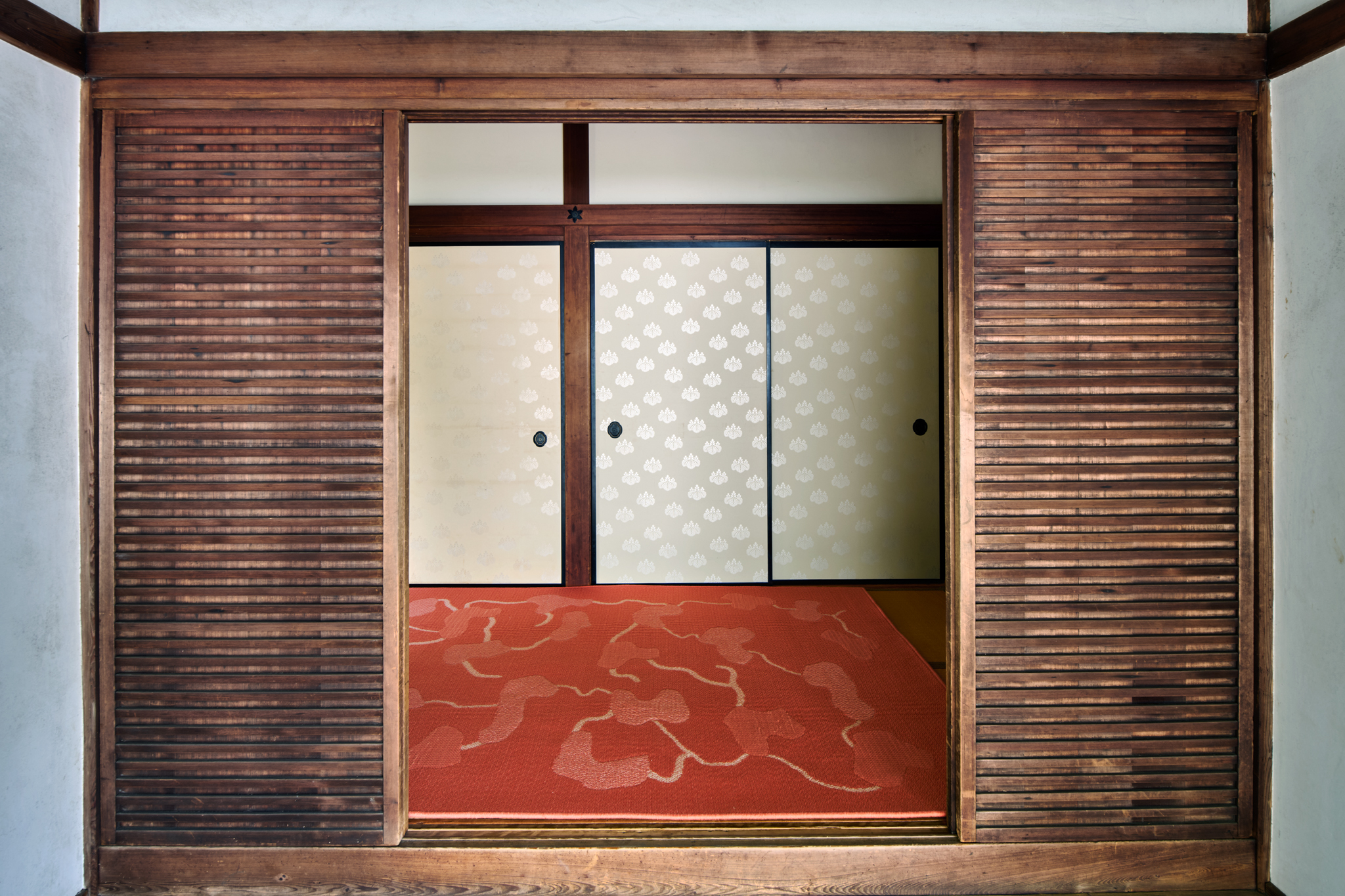 Haven – Coral – Installation 7