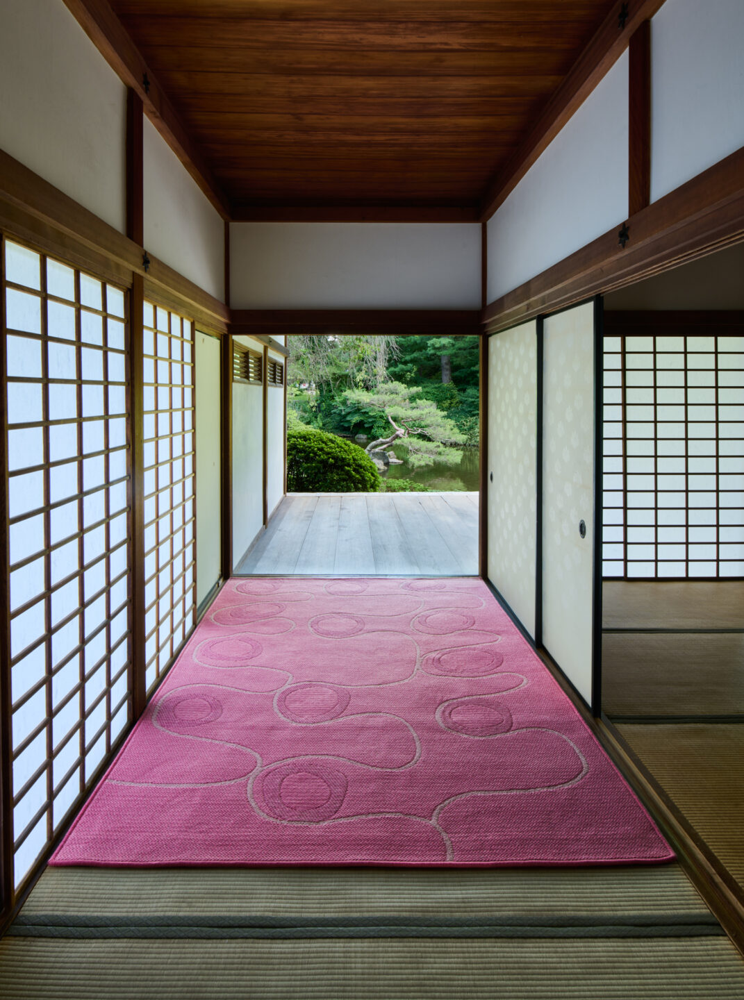 Meld – Petal – Installation 3