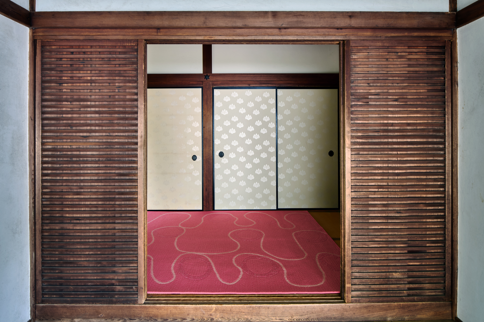 Meld – Petal – Installation 7