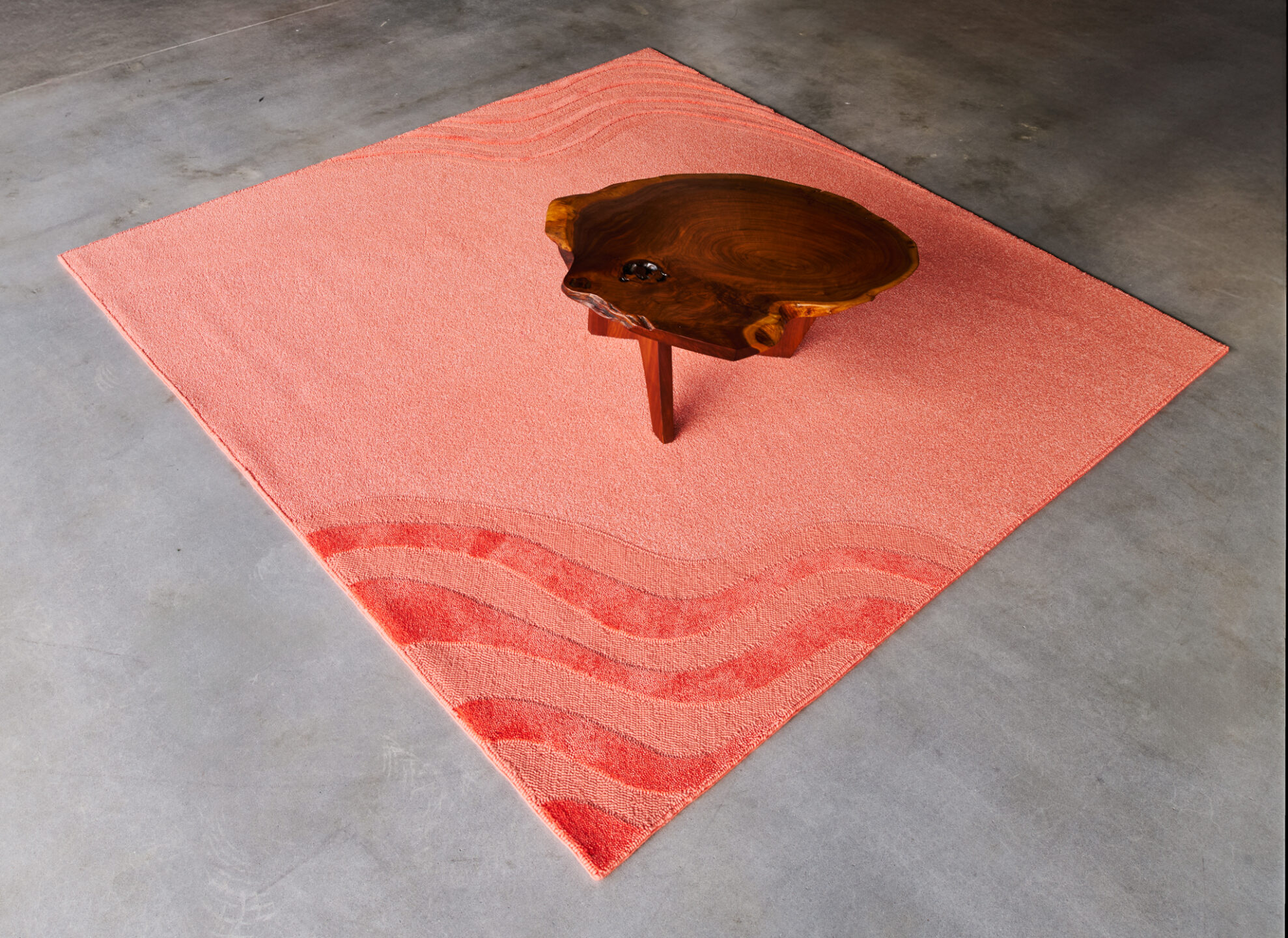 Murmur – Coral – Installation 13