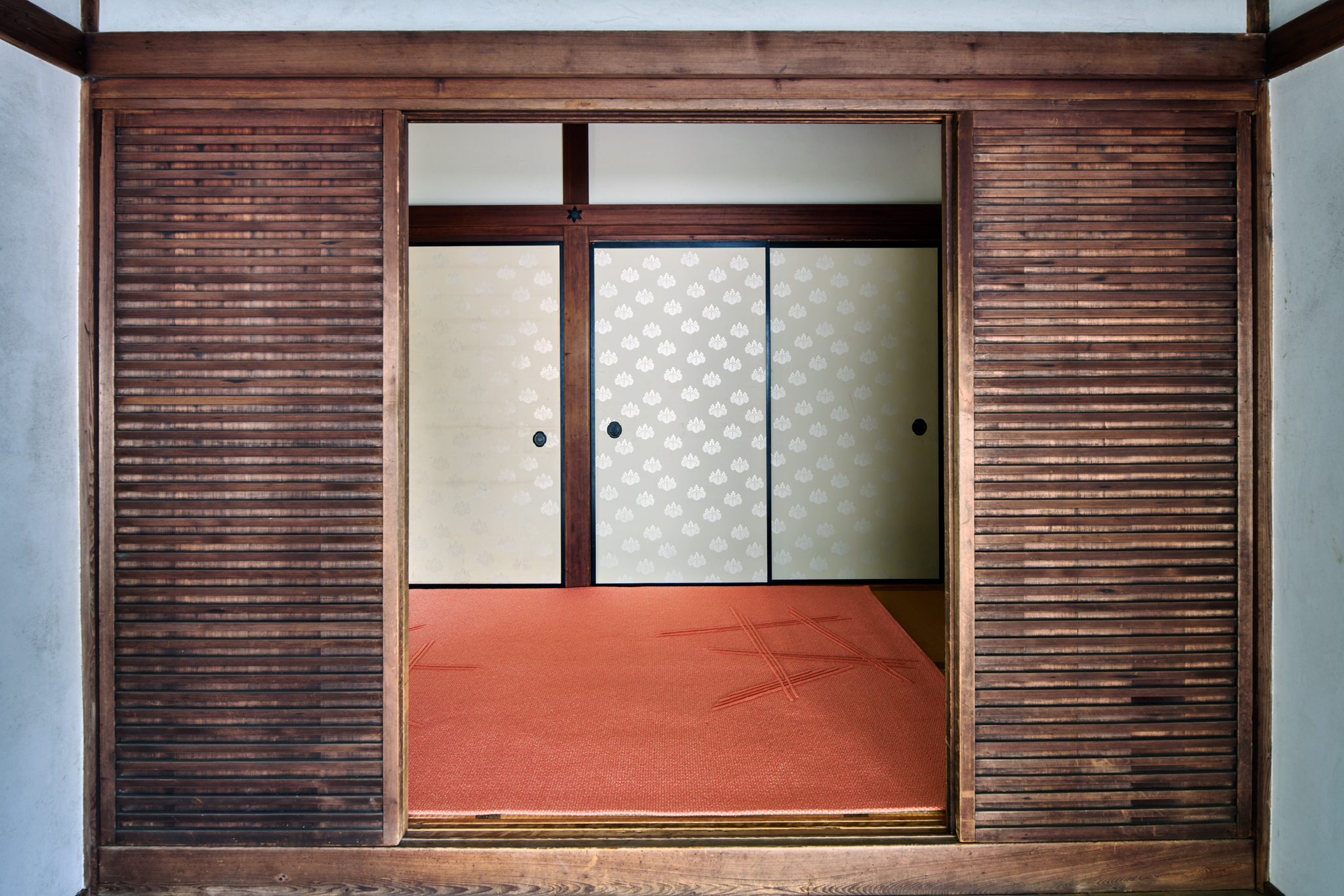 Shodo – Coral – Installation 7