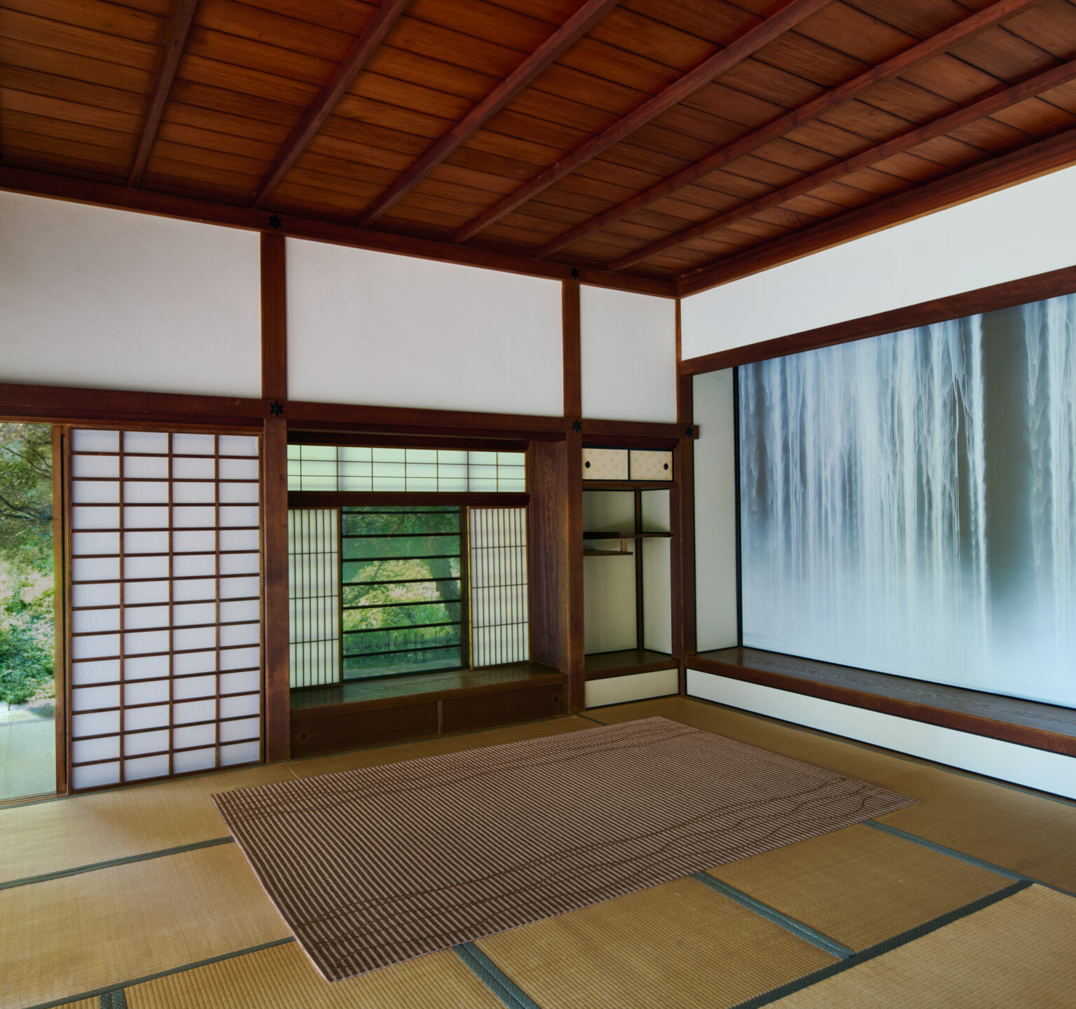 Vine – Sparrow – Installation 1A