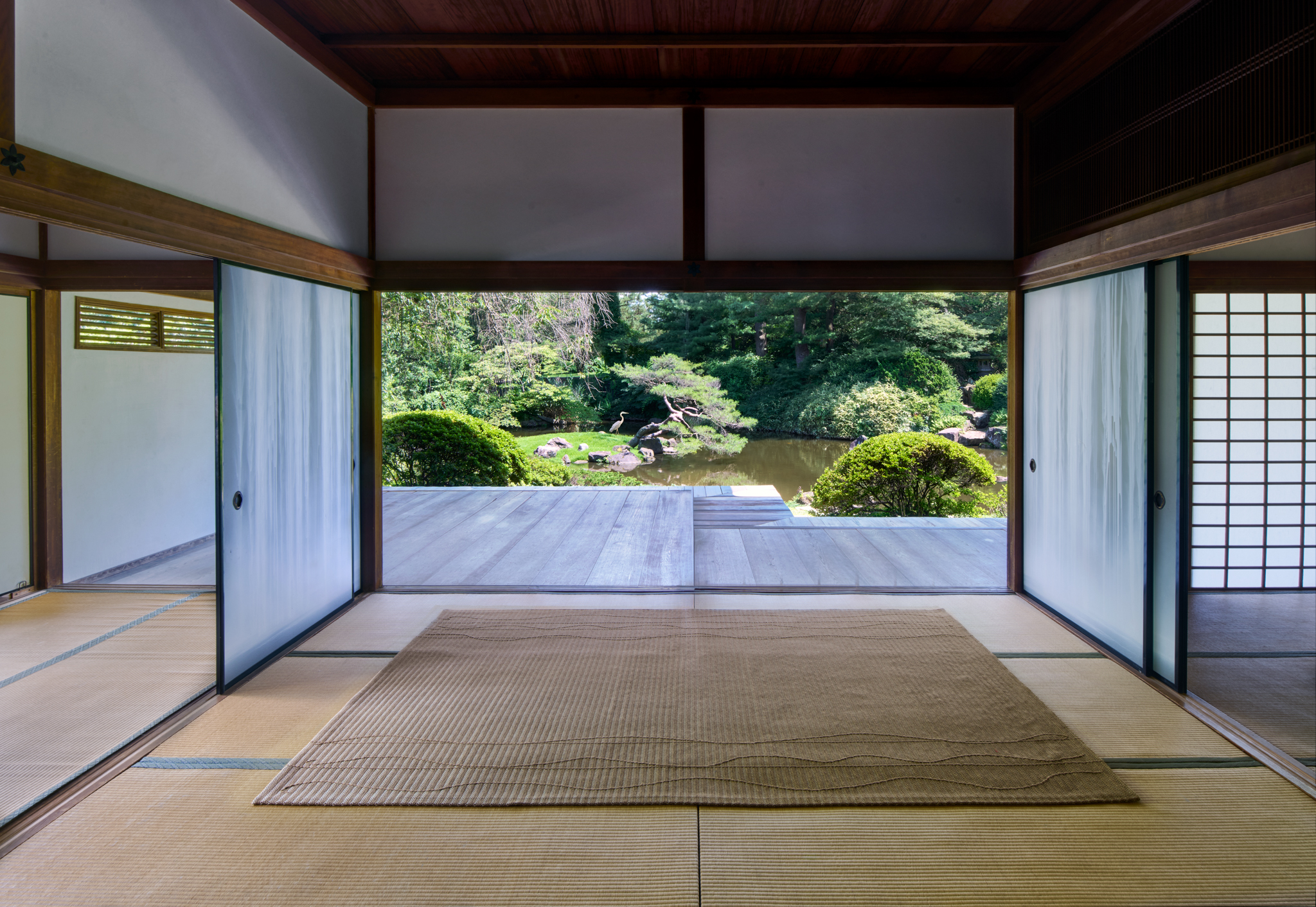 Vine – Sparrow – Installation 2B