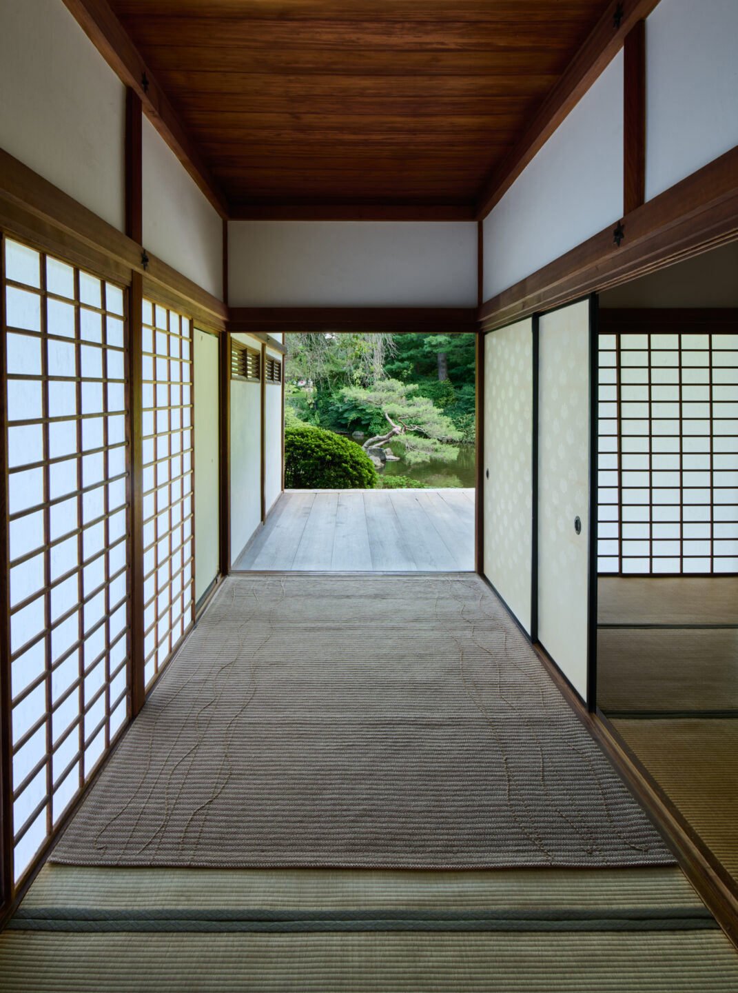 Vine – Sparrow – Installation 3