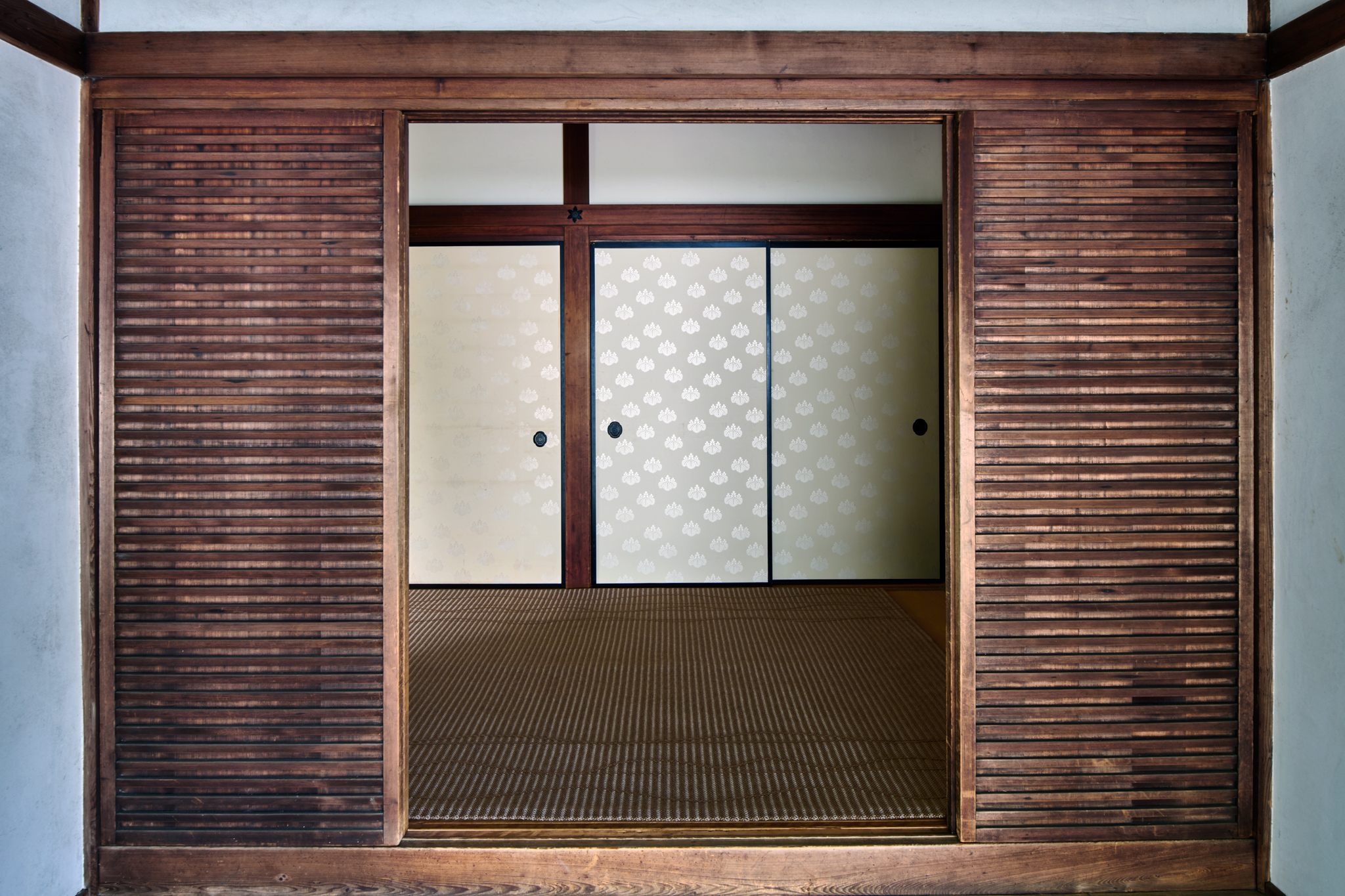 Vine – Sparrow – Installation 7