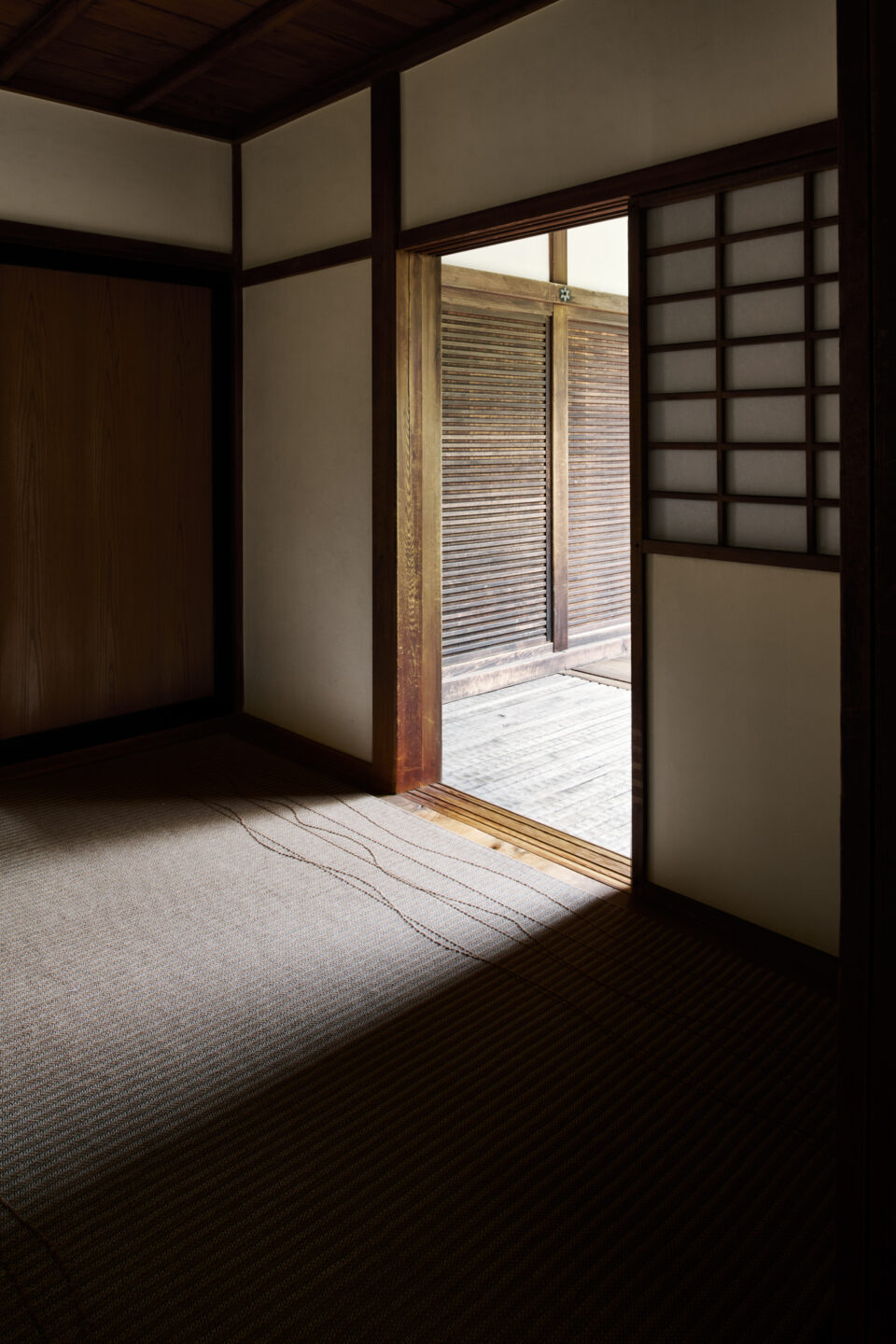 Vine – Sparrow – Installation 8