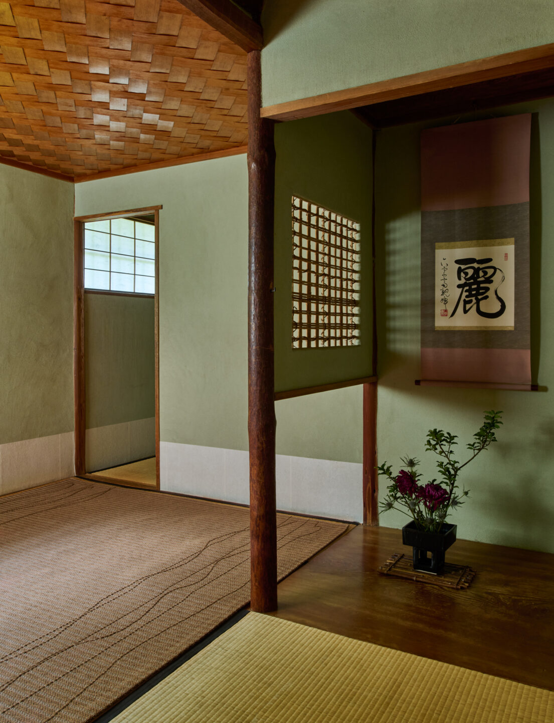 Vine – Sparrow – Installation 9