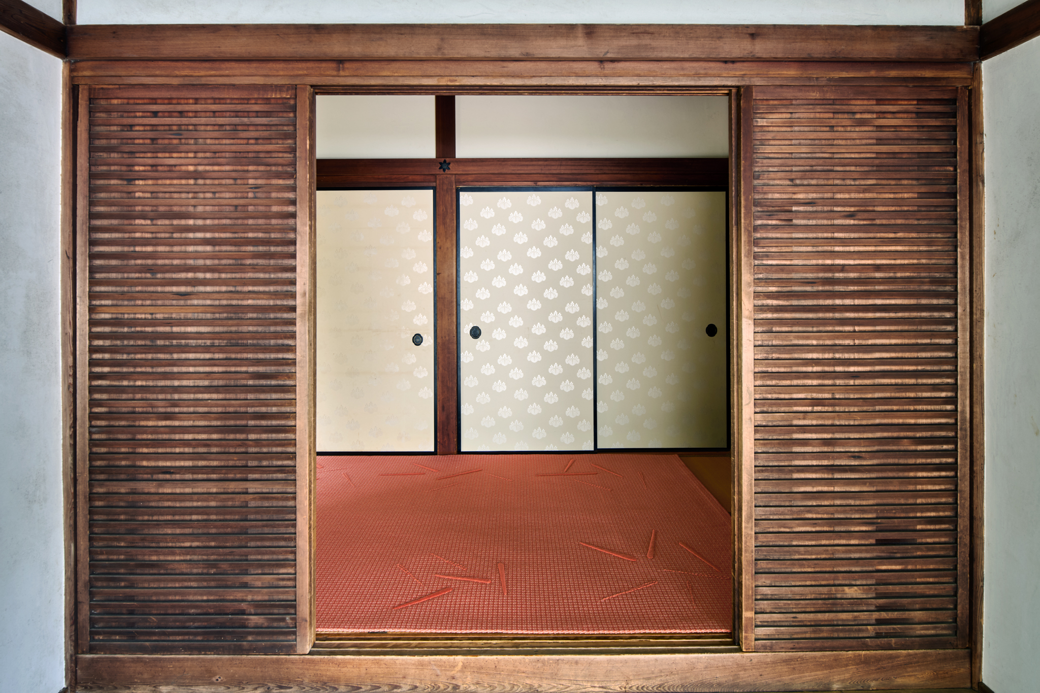 Winnow – Coral – Installation 7