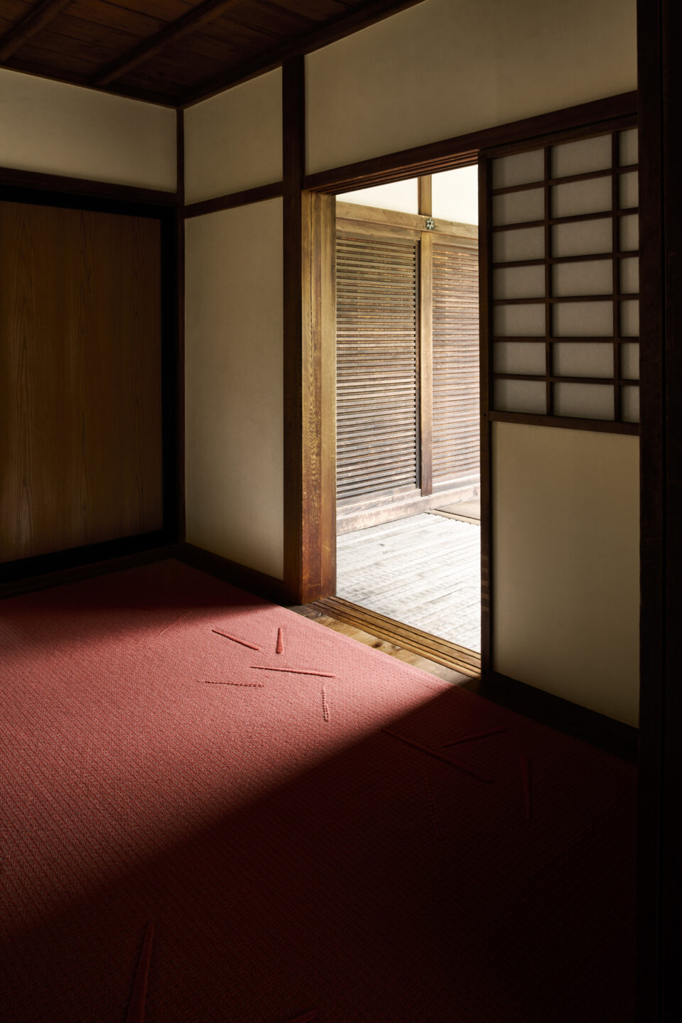 Winnow – Coral – Installation 8B