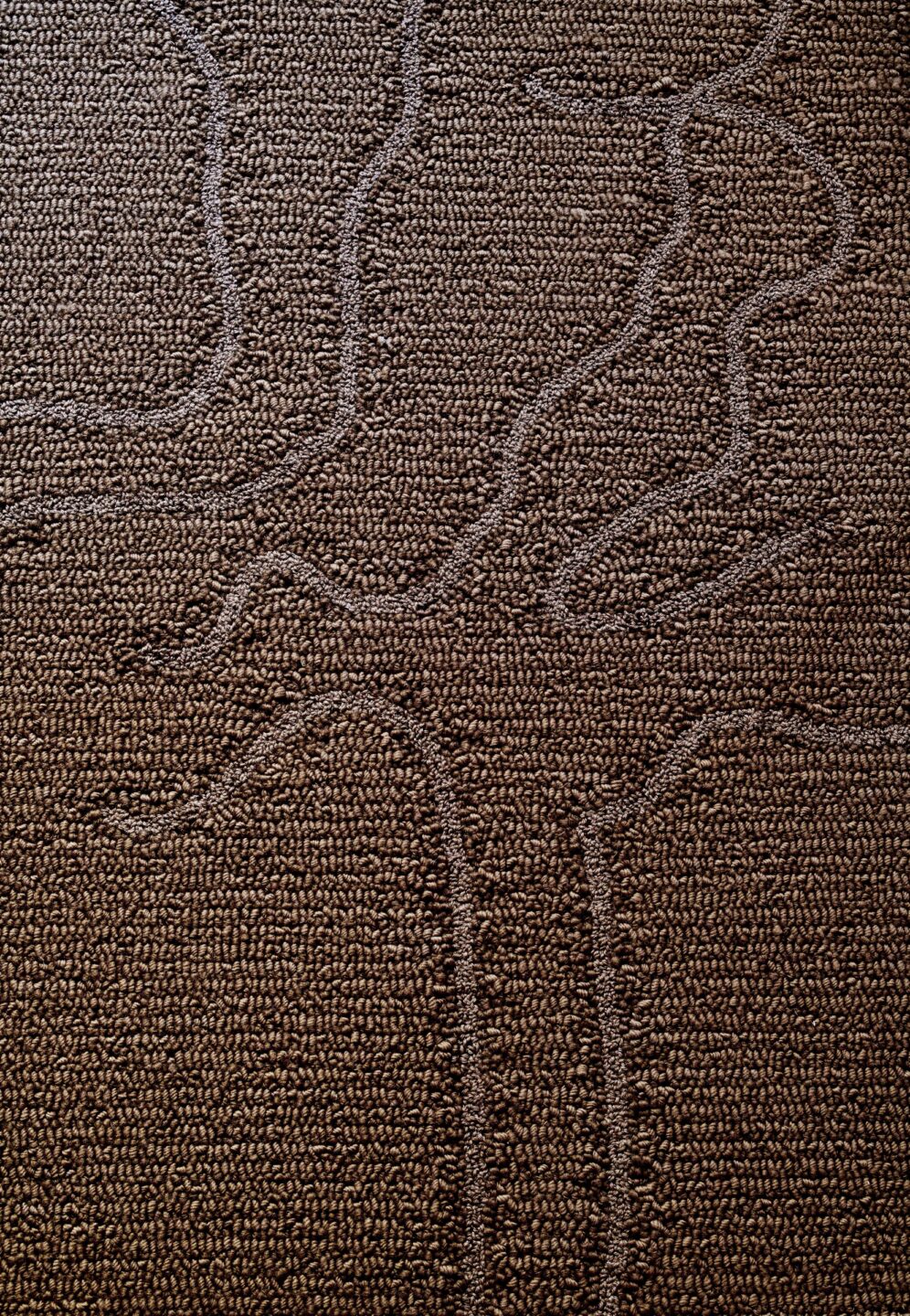 Shizen – Sparrow – Detail 1