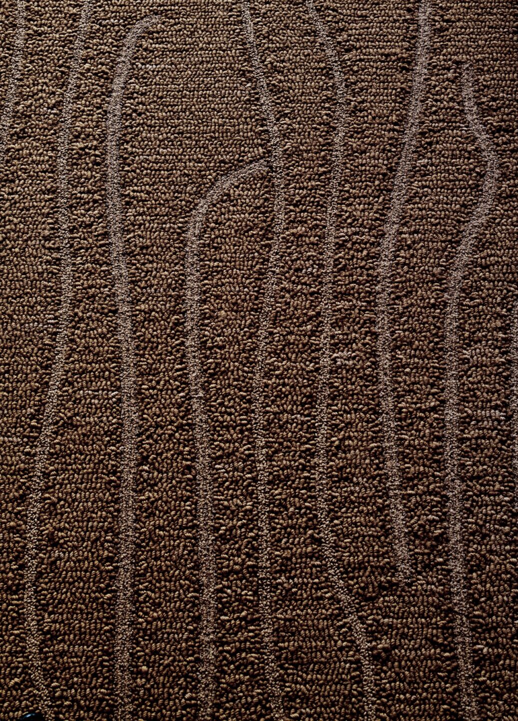 Shizen – Sparrow – Detail 2