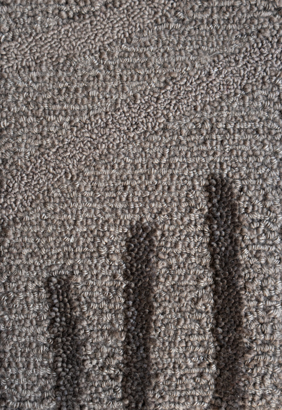 Garden – Reed – Sample