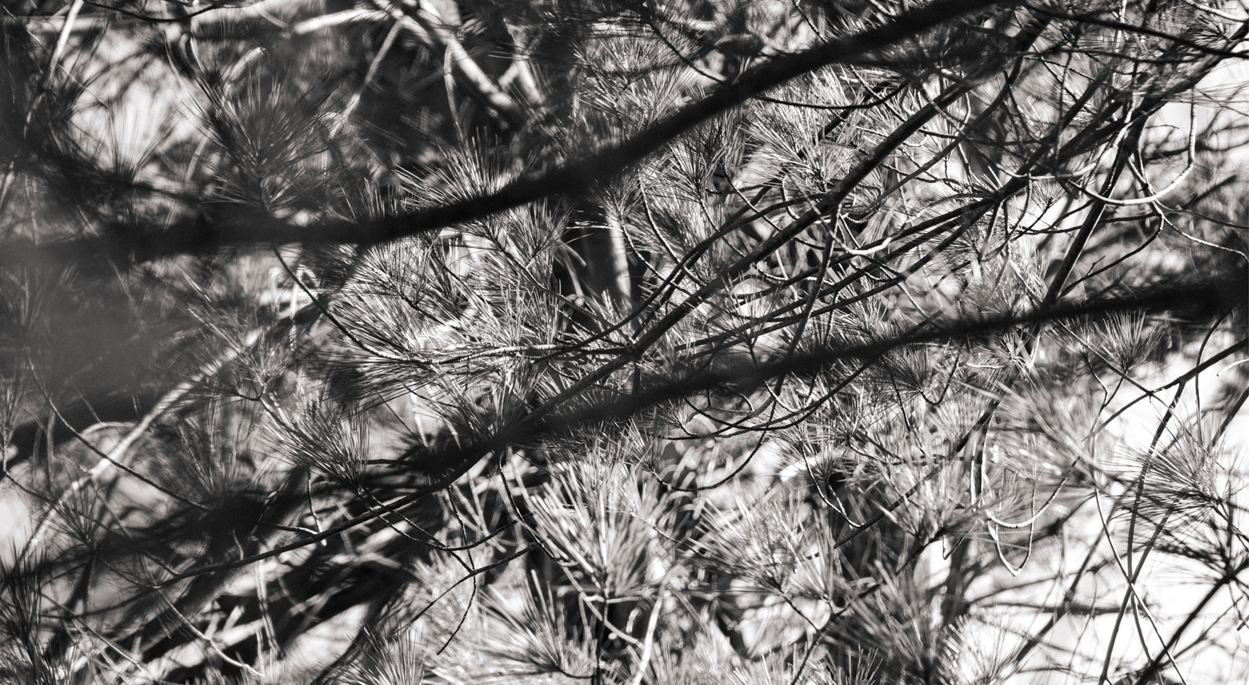 In Praise of Friction – Image 3